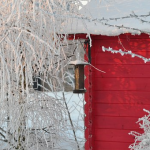 モルモットと冬を過ごすための温度管理について。外での飼育は可能なの？