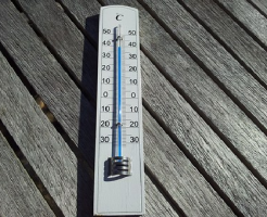 モルモット 夏 温度 室温 適温